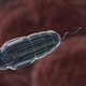 Illustration for article titled Scientists have used carbon nanotubes to engineer the most powerful artificial muscles ever